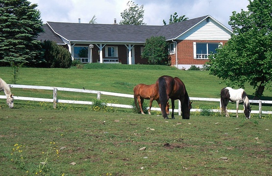 Gîte du Ranch St-Hubert