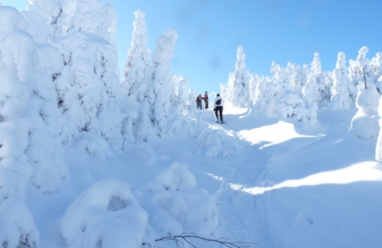 Mont Hereford - Raquette